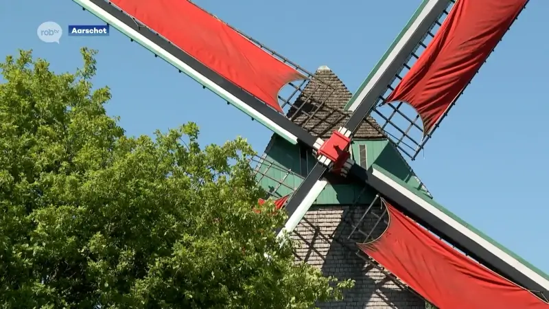Groen Aarschot vreest grote impact op natuur aan Heimolen in Langdorp nu projectontwikkelaar 41 vakantiewoningen wil plaatsen: "Iedereen is hier natuurlijk welkom, maar dit is te groot"