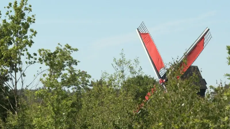 Stad Aarschot neemt snel beslissing rond 41 vakantiewoningen aan Heimolen in Langdorp: "Iedereen had kans om bezwaar in te dienen, stad volgt wettelijke procedures"