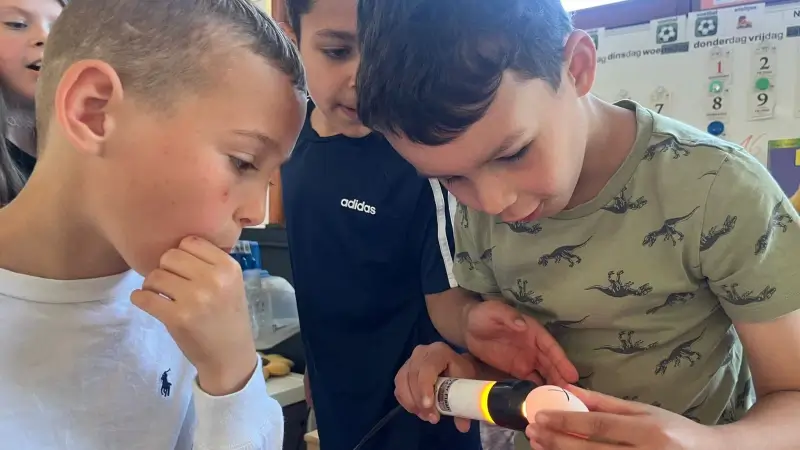 Leerlingen van basisschool Zonnedorp in Aarschot broeden eieren van het Aarschots hoen in de klas uit