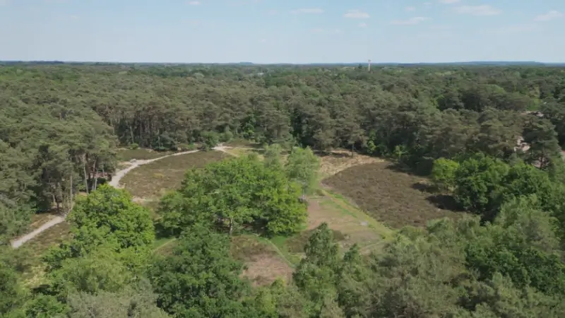 Code rood voor brandgevaar in Pommelsven en Kruisheide Keerbergen: "Bij een brand is meteen een tiental huizen bedreigd"