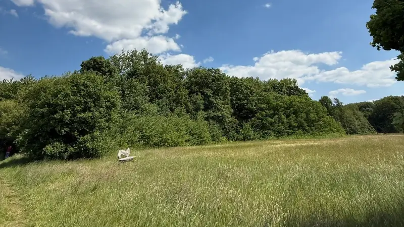 Elke geïnvesteerde euro in het Kastanjebos van Herent levert 51 euro op: "Spaart ongeveer 2 miljoen aan ziektekosten uit"