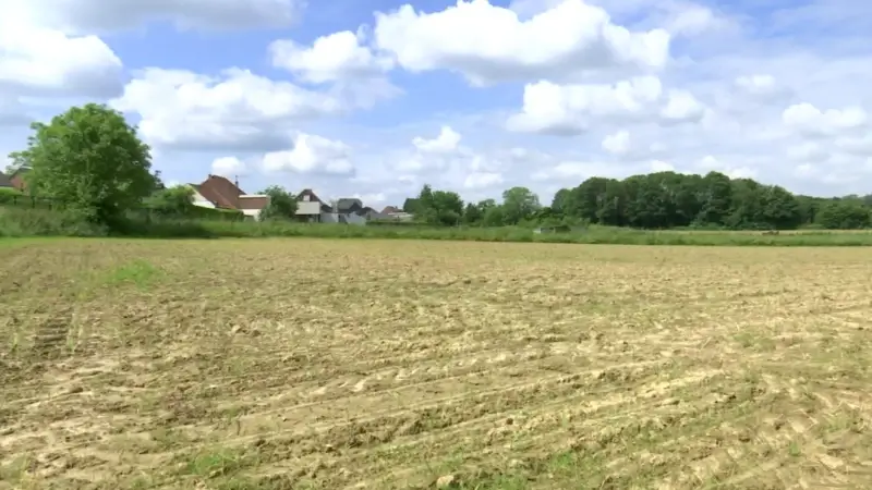 Provincie weigert omgevingsvergunning voor 160 nieuwe woningen in Haasrode: "Principieel akkoord gaat over een verkaveling van 126 woningen"