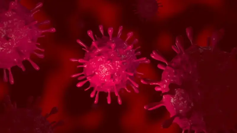 Onderzoekers KU Leuven ontwikkelen nieuwe methode om HIV-virussen onschadelijk te maken: "Patiënten kunnen volledig genezen"