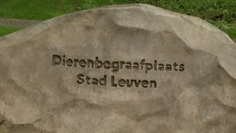 Al meer dan 40 huisdieren begraven op dierenbegraafplaats in Kessel-Lo