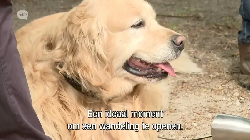 De Donjon Ter Heidewandeling is de nieuwe wandelroute van Rotselaar: "Dat ontbrak hier echt"