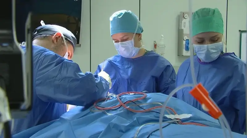 Recordaantal niertransplantaties met levende donoren in UZ Leuven: "Je kan iets betekenen voor een partner, kind of vriend"