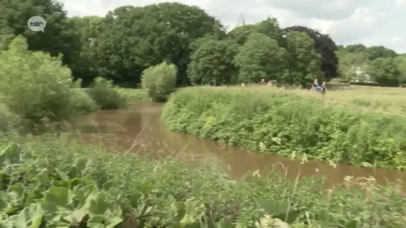 1000 wandelaars nemen deel aan Hagelandse 101 Try Out: "Ik wist niet dat het zo mooi was in Aarschot"