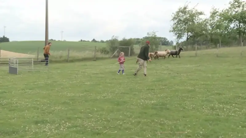 Beestige vaderdag op boerderij Schaapsheuvel in Tielt-Winge: "Het is eens iets anders dan gaan eten"
