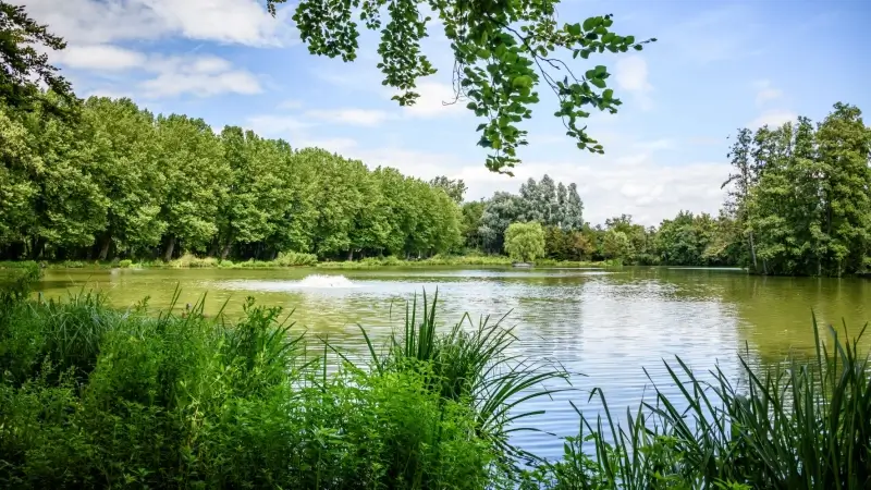 Provinciedomein van Kessel-Lo is officieel erkend als natuurreservaat