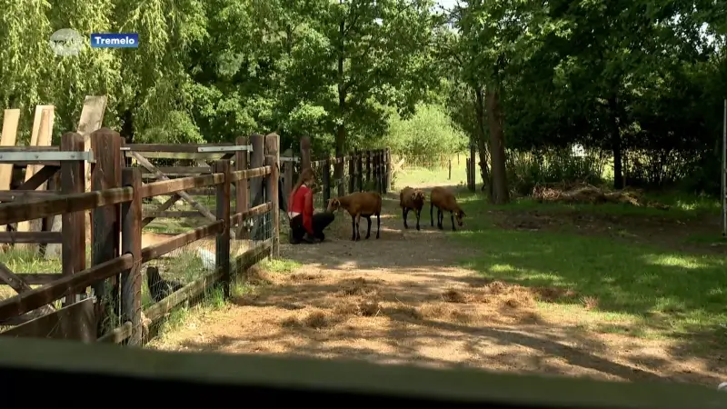 Zorgboerderij Rimpeling in Baal krijgt extra middelen: "Om kinderen één op één te begeleiden heb je professionele ondersteuning nodig, en dat kost geld."