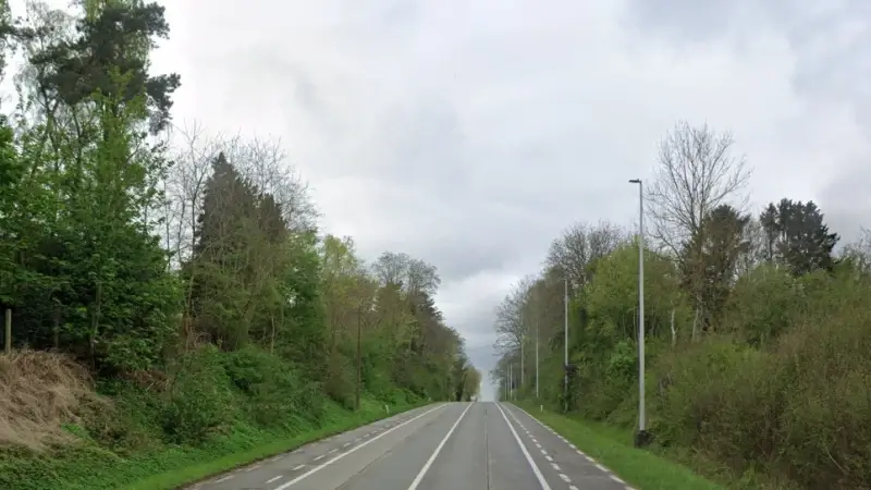 Agentschap Wegen en Verkeer kapt vanaf donderdag zes bomen op Brusselsesteenweg in Herent, hinder tot zondag