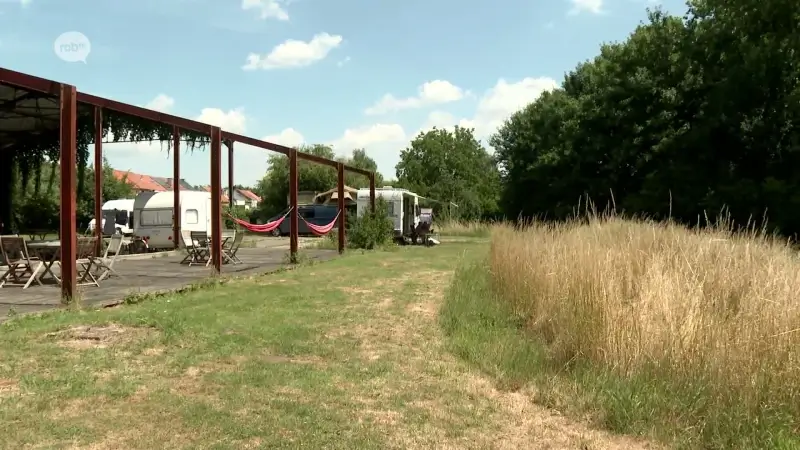 Camping De Mulkerij in Tienen zoekt extra campingplaatsen voor Suikerrock: "Logeren in de tuin van een Tienenaar"