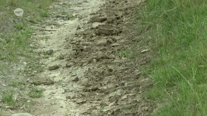 Extra buffers en dammen in Oud-Heverlee moeten water- en modderoverlast beperken in naburige Bierbeek