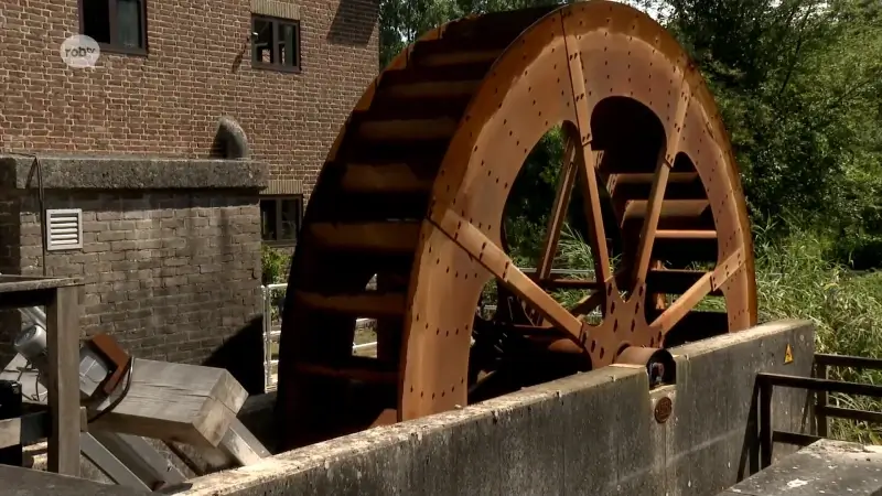 Waterrad van 500 jaar oud opnieuw in gebruik in Kortenaken: "Elektriciteit opwekken met water uit de Velpe"