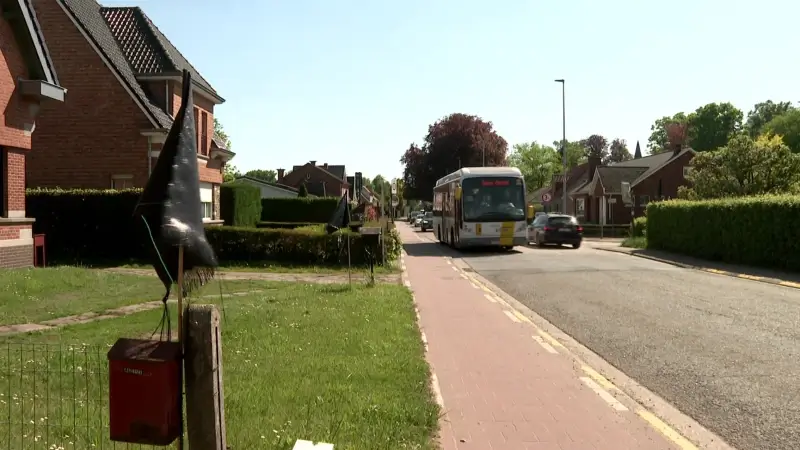 Gemeente Haacht richt RingRaad op om inwoners te betrekken bij herinrichting Zoellaan
