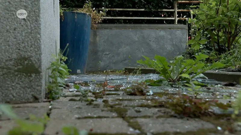 Vandalen slaan midden in de nacht toe in Leuven en Heverlee: ramen ingegooid met baksteen en stoeptegel