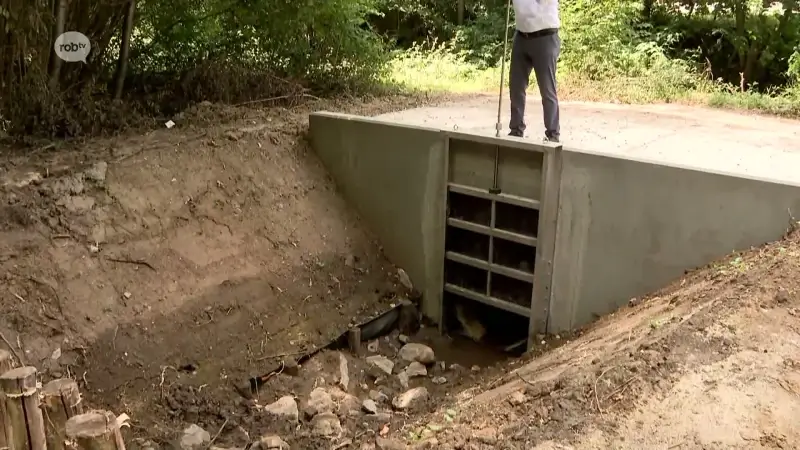 Oplossing voor wateroverlast in Kwadenhoek in Wilsele: provincie plaatst knijpconstructie op Lossingsbeek