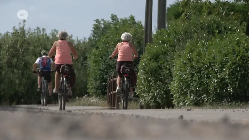 Duizenden sportievelingen kruisen per fiets onze regio door tijdens de Hagelandse Gordel