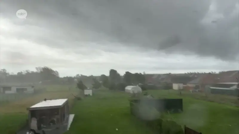 Windhoos die in september vorig jaar grote schade aanrichtte in Geetbets en Zoutleeuw is erkend als natuurramp: "Getroffenen kunnen extra financiële tegemoetkoming vragen"