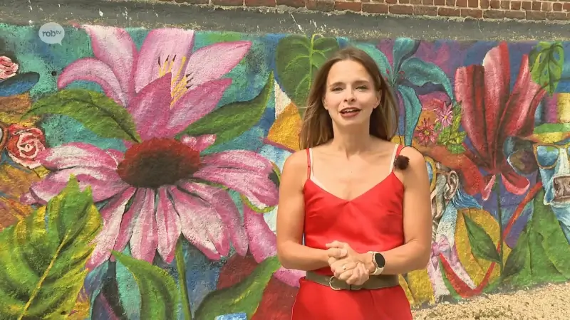 Katrijn uit Tienen tovert eigen gevel om tot muurschildering: "Wil andere mensen gelukkig maken"