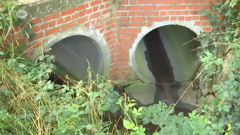 E. coli bacterie aangetroffen in Vaalbeek in Oud-Heverlee: "Aantal huizen heeft zich niet aangesloten op riool"