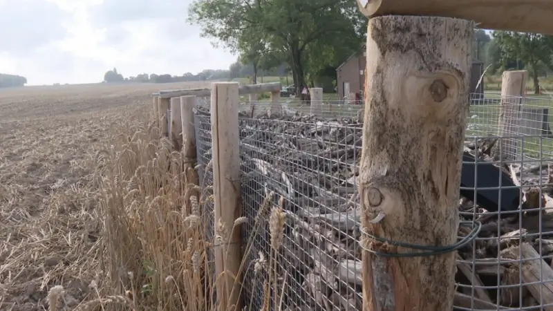Twee houthakseldammen moeten landbouwgronden in Landen beschermen tegen water- en modderoverlast