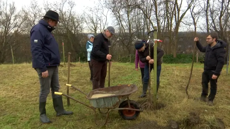 Actie 'Behaag je tuin' van regionale landschappen start op 1 september en moet tuinen klimaatbestendiger maken