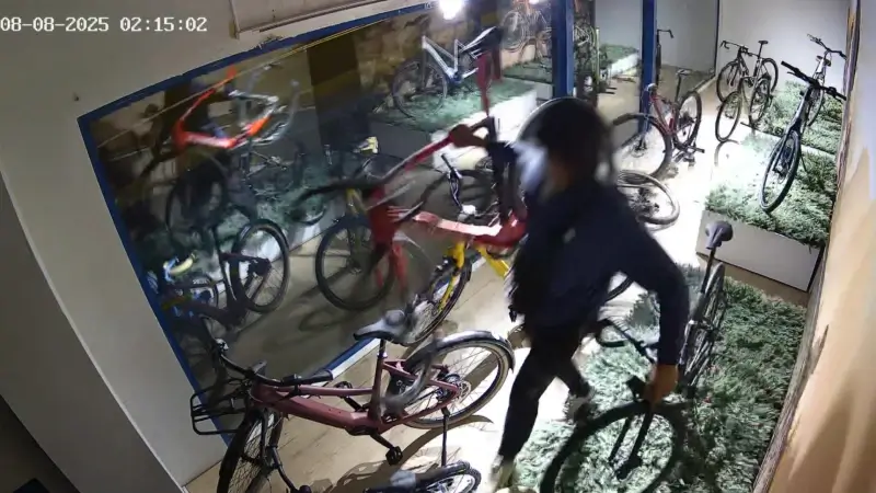 Dieven stelen twee peperdure fietsen bij fietsenwinkel Alec Bike Store in Heverlee: "Zag op camera meteen twee mannen rondlopen"
