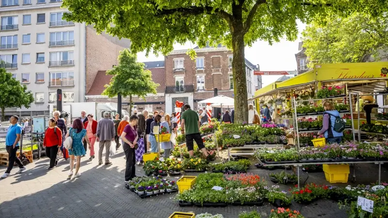 Zaterdag- en antiekmarkt in Leuven verhuist door Marktrock van De Layensplein en Brusselsestraat naar Herbert Hooverplein