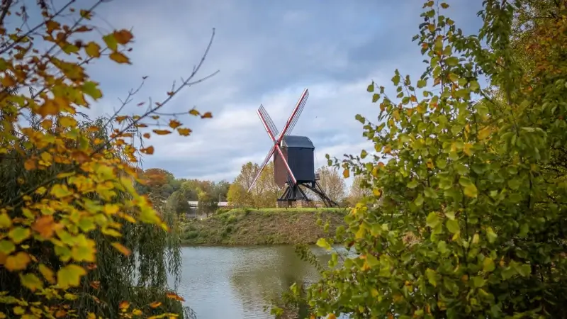 Diestse molen uit 18de eeuw in september uitzonderlijk toegankelijk voor publiek