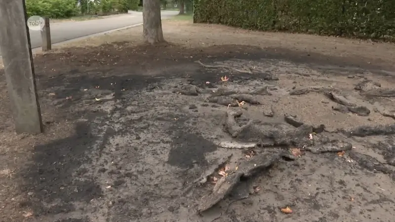Picknicktafel in brand gestoken in Rotselaar