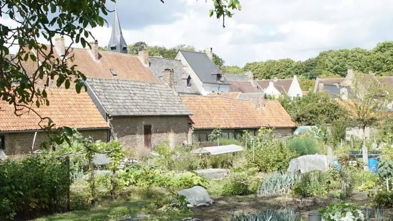 Wachtlijst voor 34 volkstuintjes aan Begijnhof in Diest: "Weinig groen aan je eigen huis"
