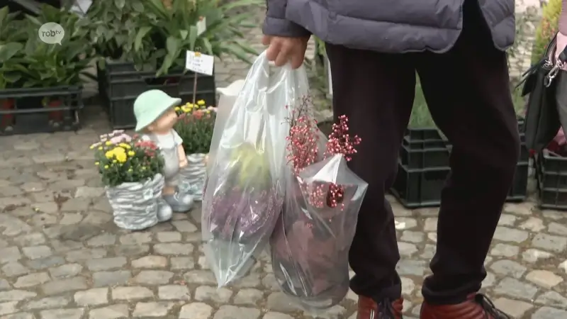 Eerste woensdagmarkt in Zoutleeuw is succes: "Nu hebben we 12 kramen, vroeger maar 2"
