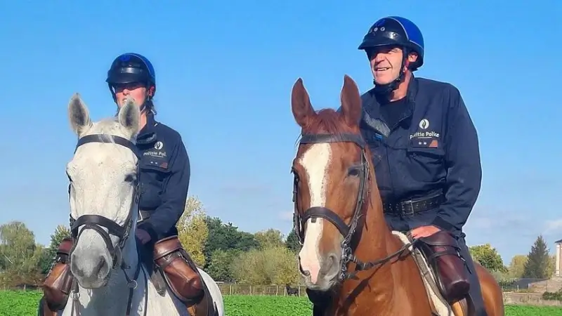Politiezone Hageland zet patrouilles te paard in: "Zichtbaarheid schrikt mensen met verkeerde bedoelingen af"