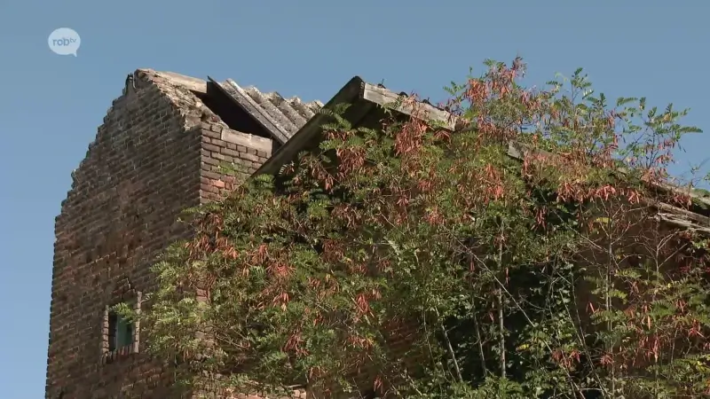 Zoutleeuw onderzoekt wat er met 'Heksenkot' moet gebeuren: "Historische parel"