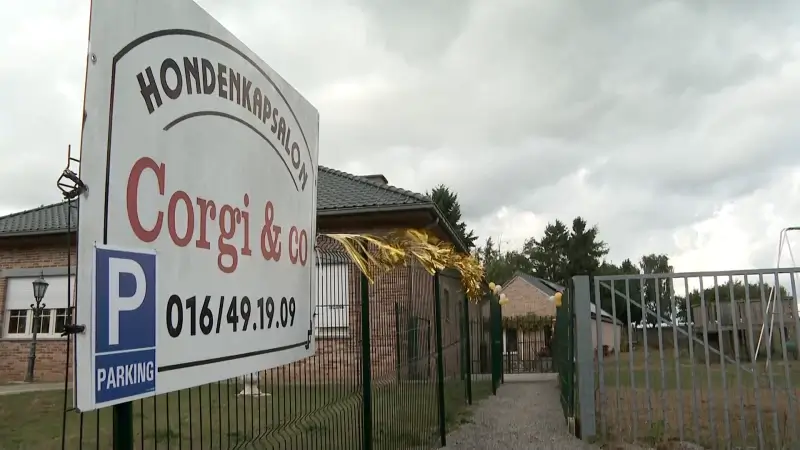 Hondenkapsalon aan Diestsesteenweg in Tielt-Winge exact één jaar na verwoestende brand opnieuw open: "Kijk ernaar uit om opnieuw te trimmen"