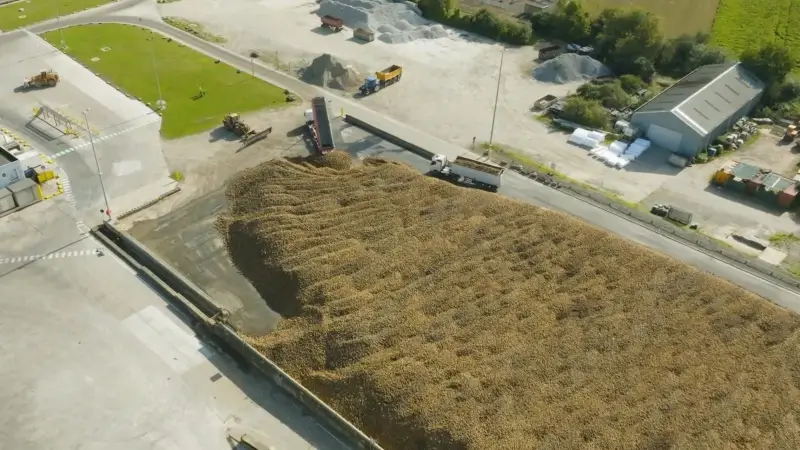 Bietencampagne vandaag van start gegaan in Tienen: "Het zal één van onze beste jaren zijn"