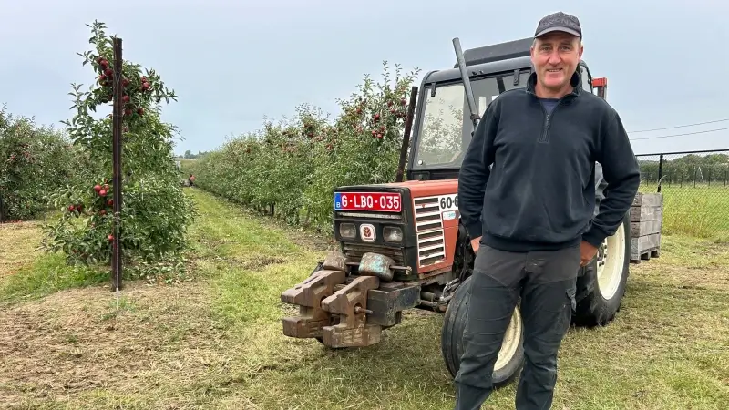Politie gaat meer patrouilleren in boomgaarden in Kortenaken: "Fruit wordt gestolen"