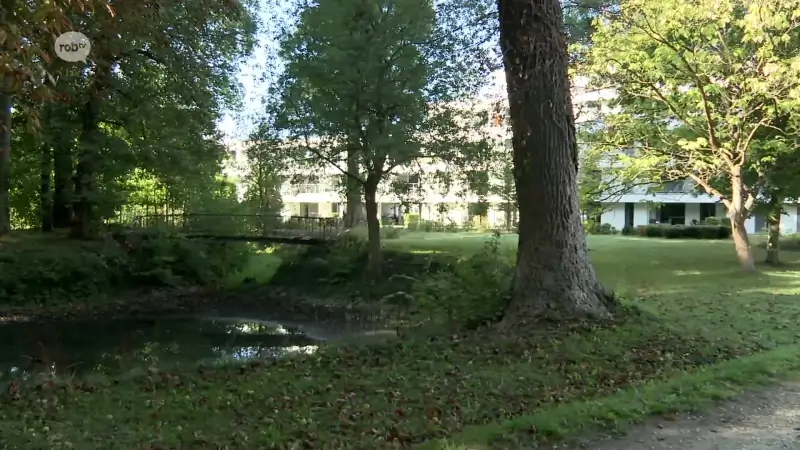 Hoofdafbeelding voor artikel Brugje in park aan de Ezeldijk…