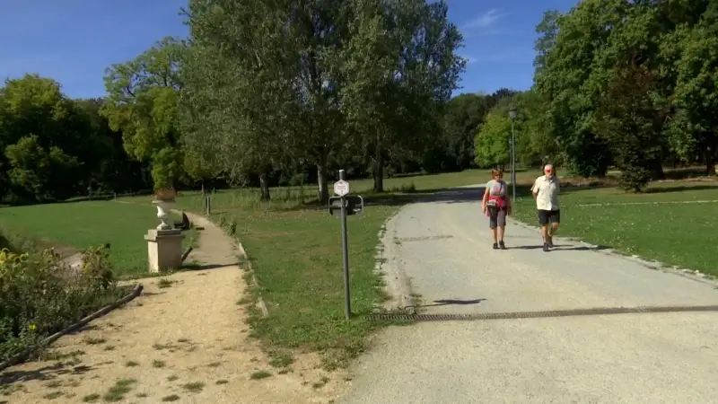 Hoofdafbeelding voor artikel Provincie organiseert wandelzondagen…