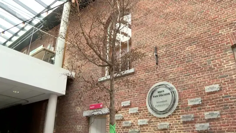 Hoofdafbeelding voor artikel Dure boom in Keerbergen is…