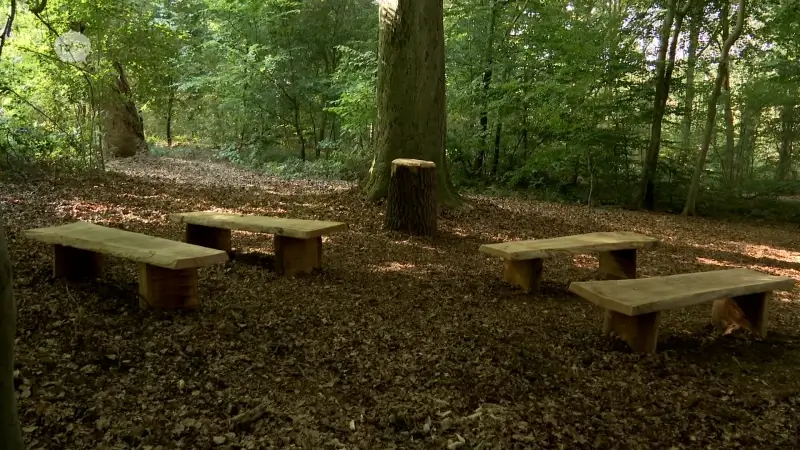 Hoofdafbeelding voor artikel Allereerste natuurbegraafplaats…