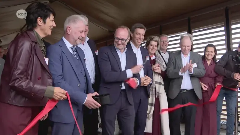 Hoofdafbeelding voor artikel Mobiliteitsicoon D'Ieteren…