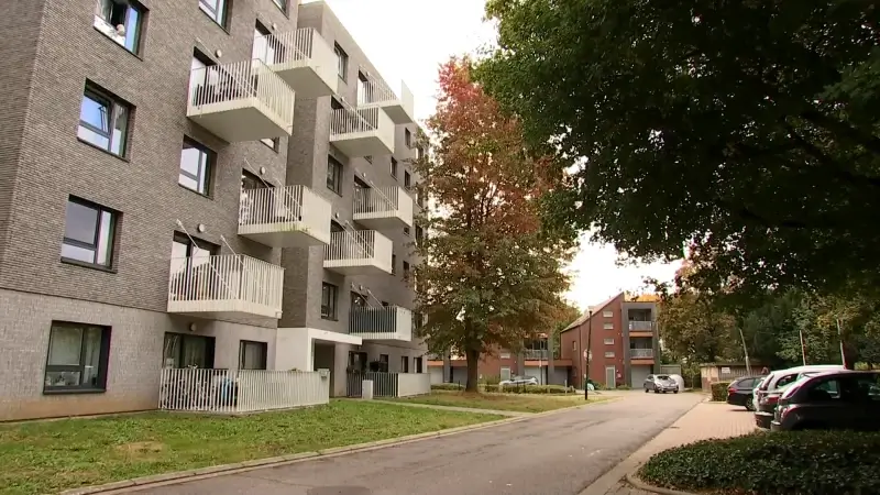Hoofdafbeelding voor artikel Dijledal investeert 16 miljoen…