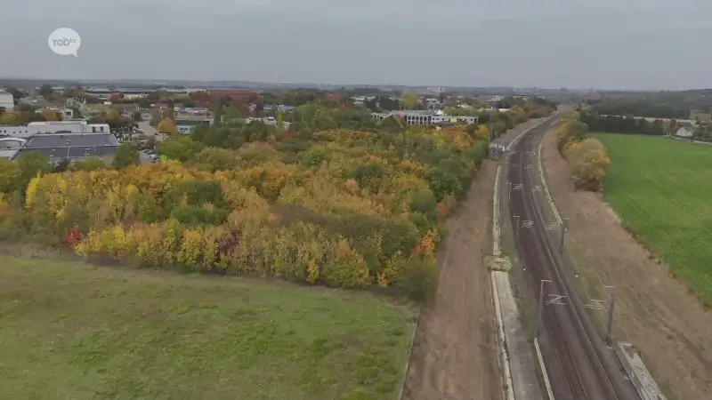 Hoofdafbeelding voor artikel Vergunningsaanvraag voor betoncentrale…