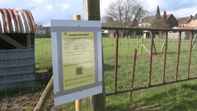 Hoofdafbeelding voor artikel Matexi heeft nieuwe plannen…