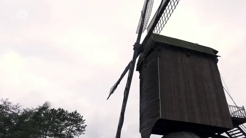 Hoofdafbeelding voor artikel Stad Diest gaat iconische…