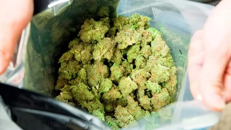Man (24) uit Landen aangehouden na vondst 500g cannabis tijdens politiecontrole