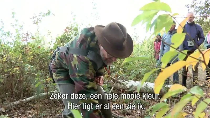 Hoofdafbeelding voor artikel Natuurpunt Haacht organiseert…