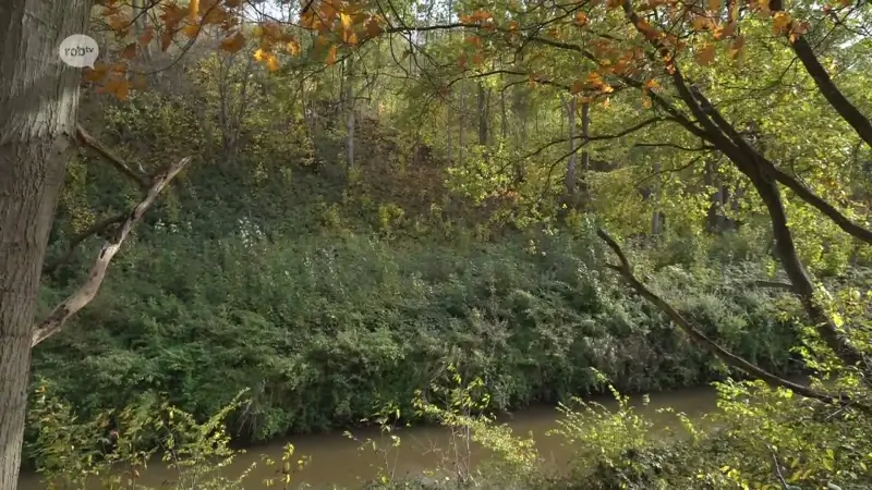 Hoofdafbeelding voor artikel Grote hangbrug over Zwarte…